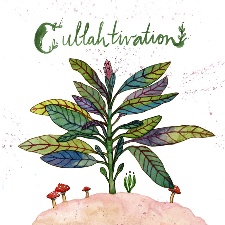 Cullahtivation album cover